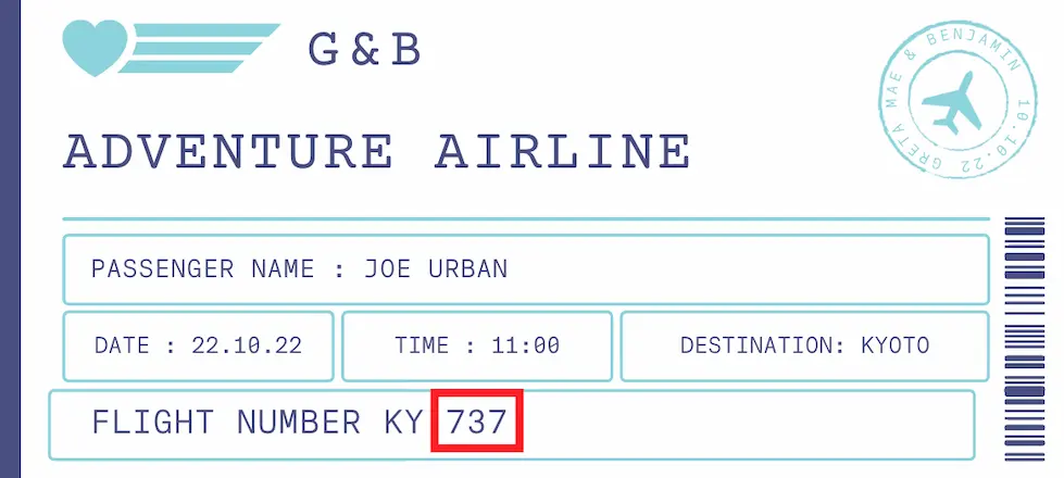 number 737 on a plane ticket