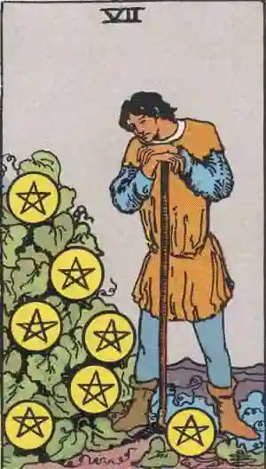 7 of Pentacle from Rider-Waite-Smith Tarot